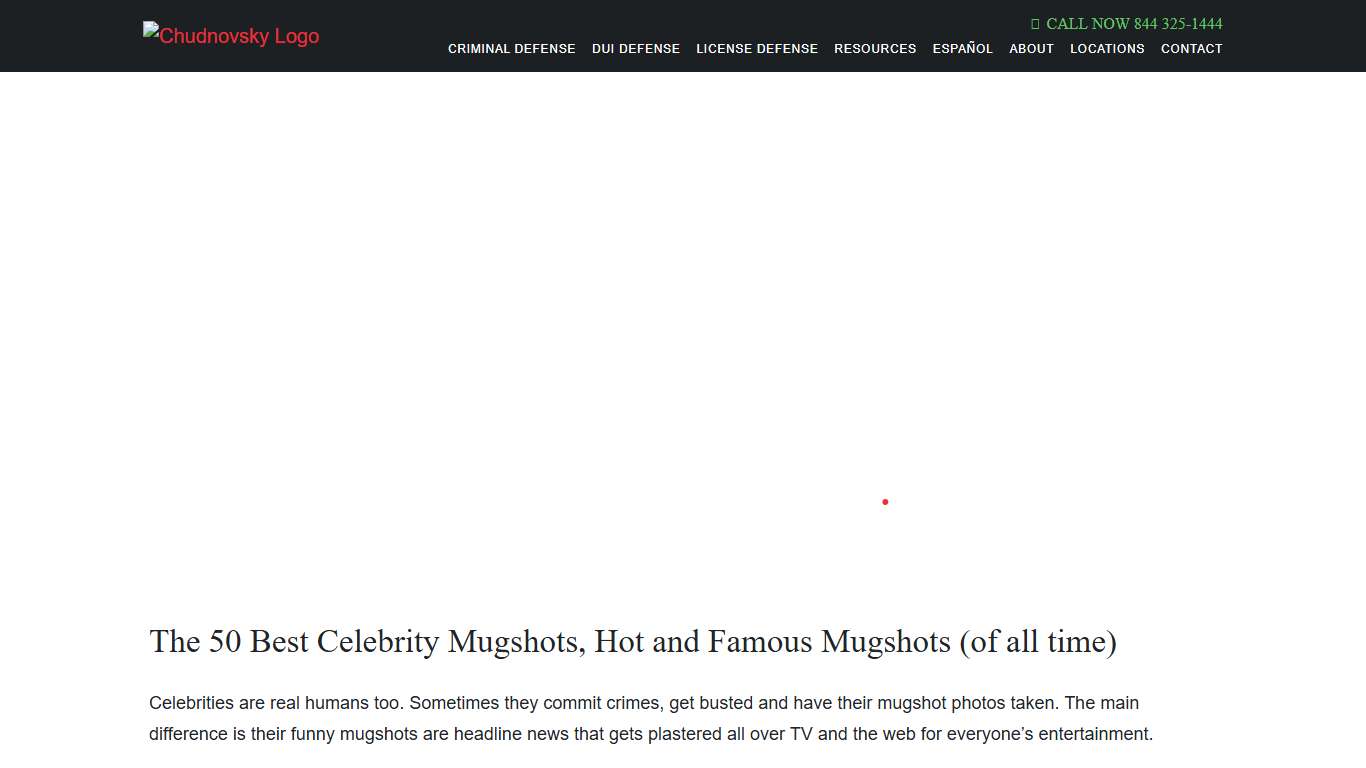 MUGSHOTS The 50 Best Celebrity, Hot Mugshots (of all time)